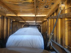 IMG-20250325-WA0013